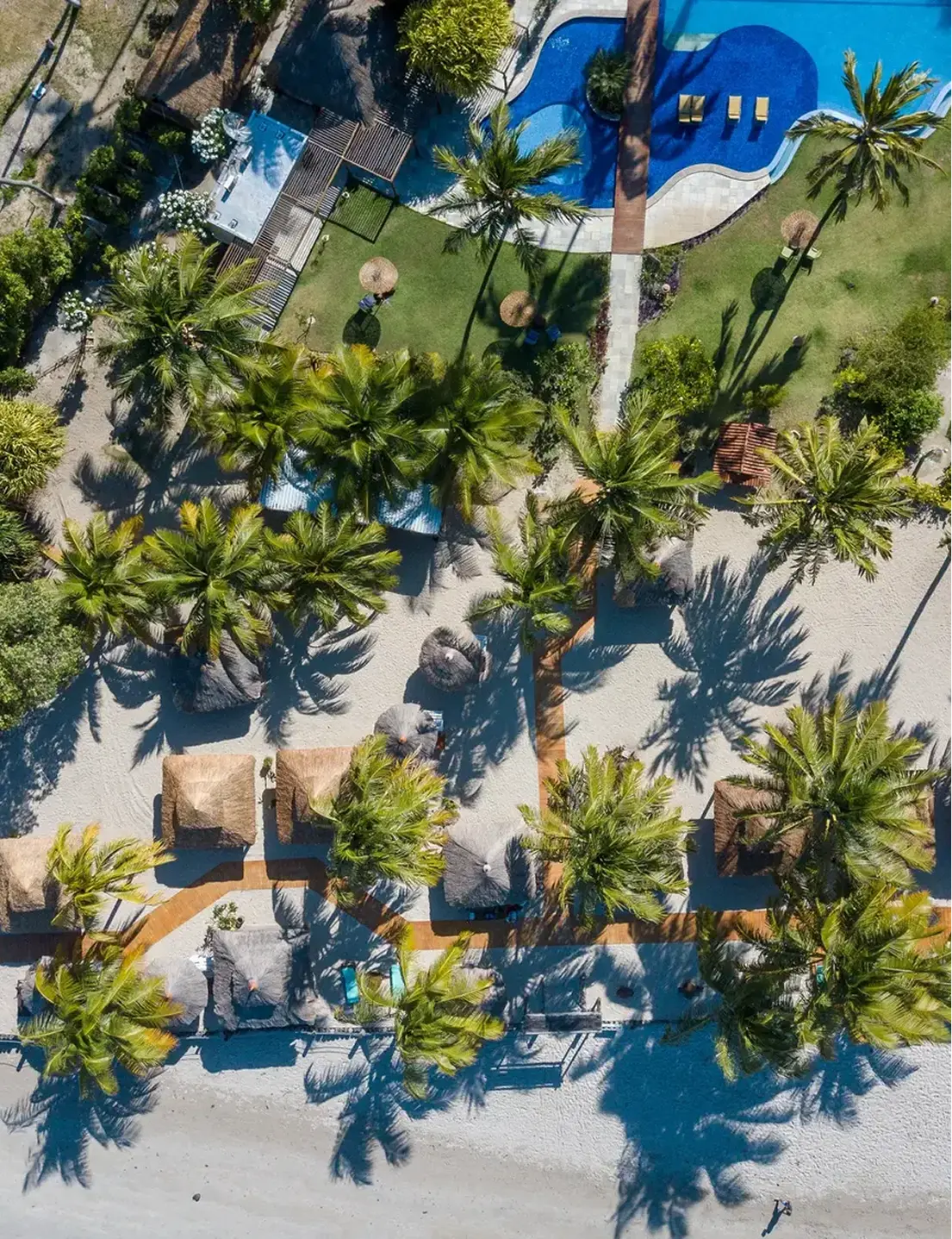 Vista aérea del resort, piscinas y palmeras